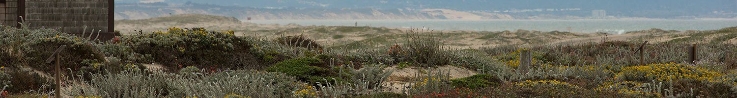Monterey Dunes, CA